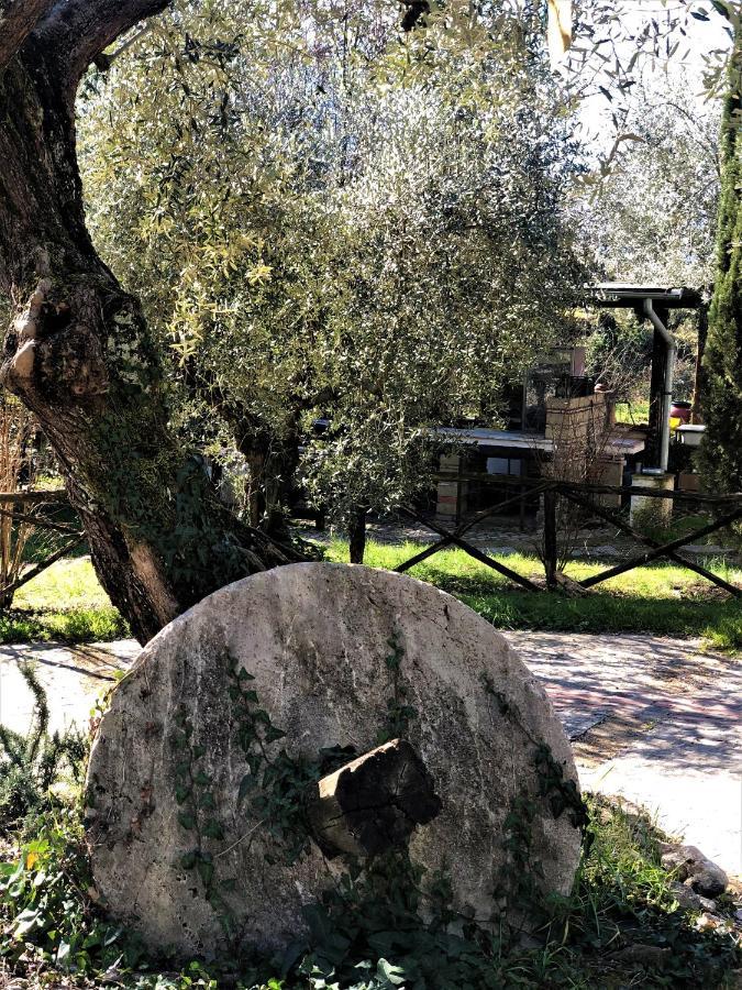 Villa Casale L'Antica Mola Castel Madama Exterior foto